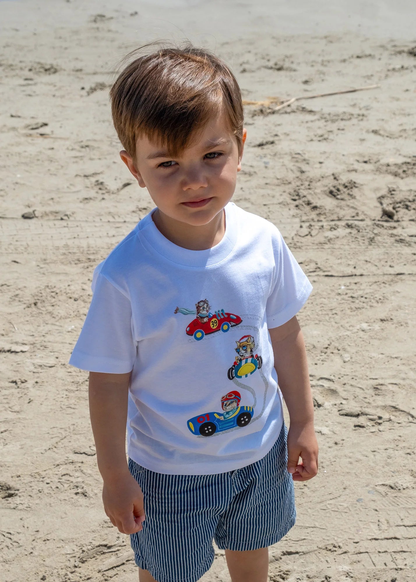 Racing Cats in Cars - T-Shirts