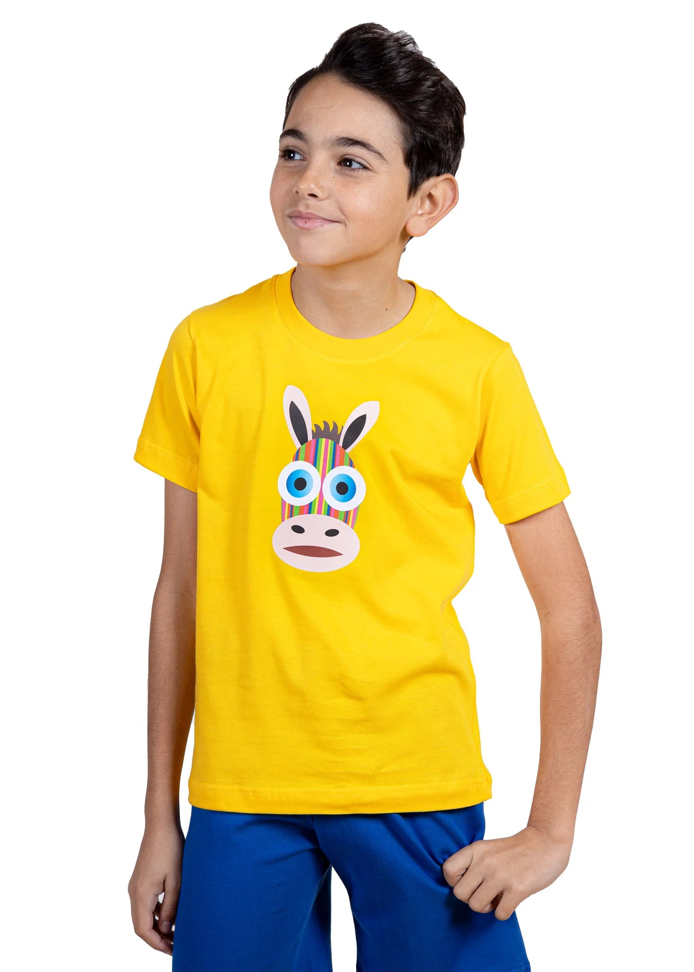 Donkey Rainbow - T-Shirts