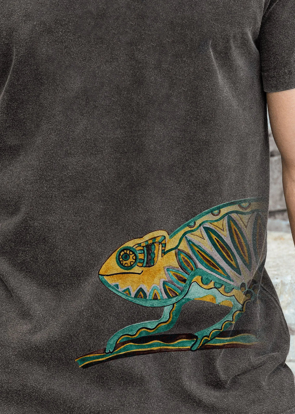 Chameleon - Stonewashed T-Shirts