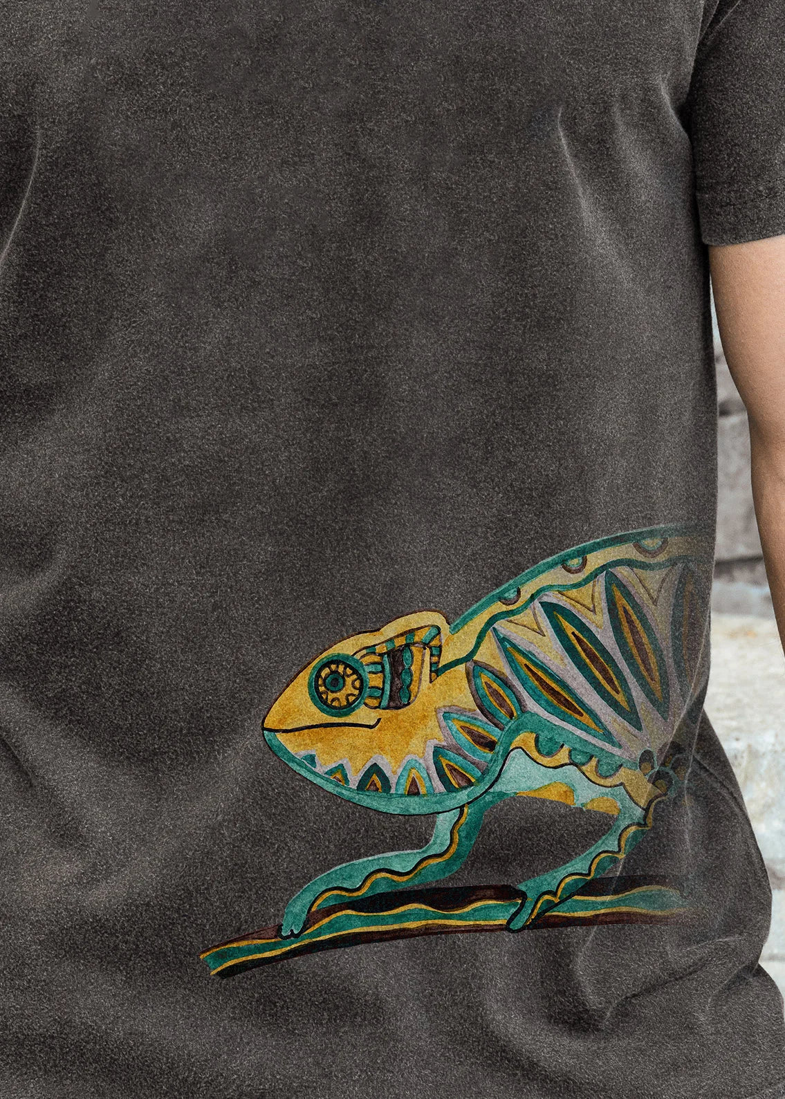 Chameleon - Stonewashed T-Shirts