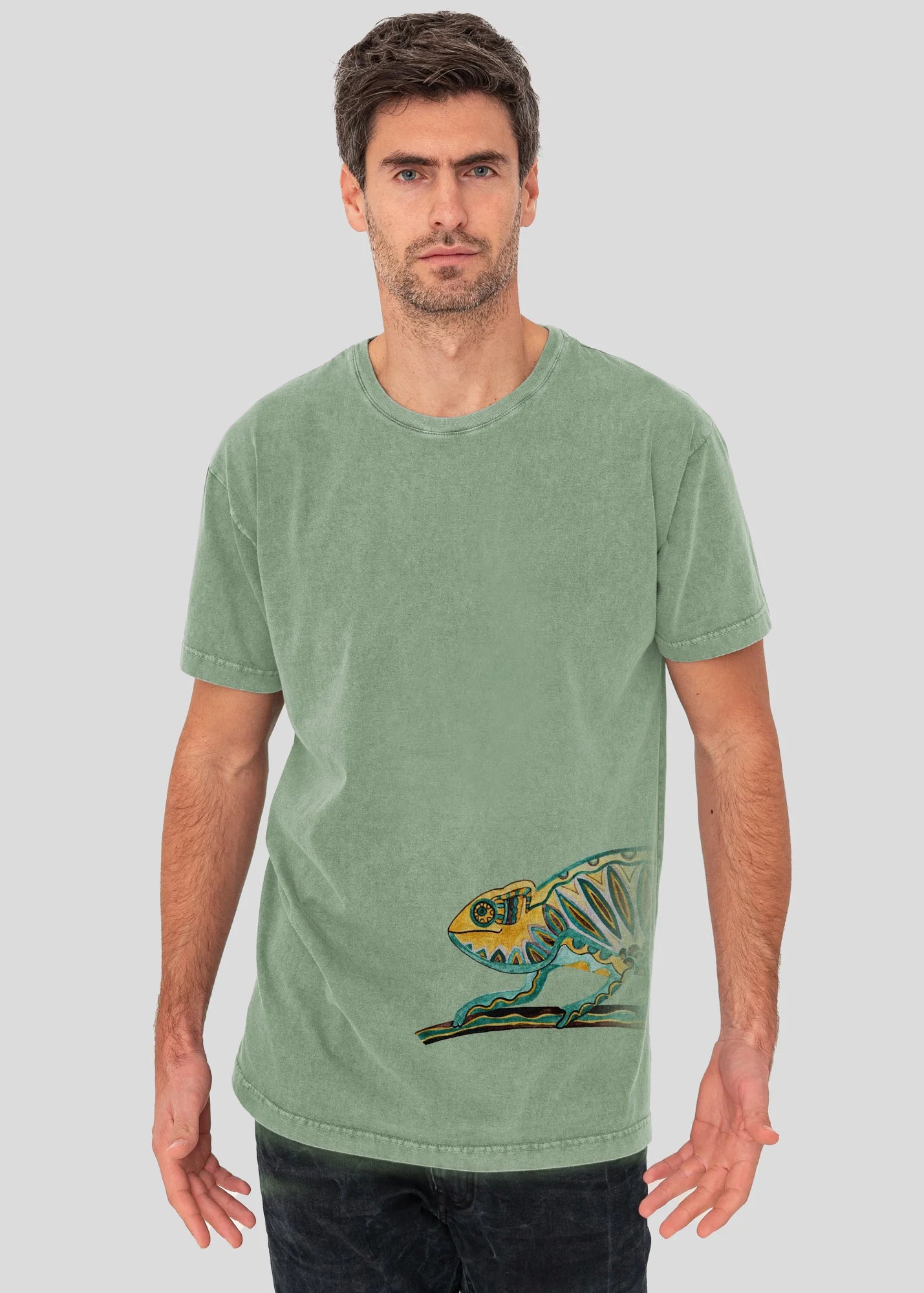 Chameleon - Stonewashed T-Shirts