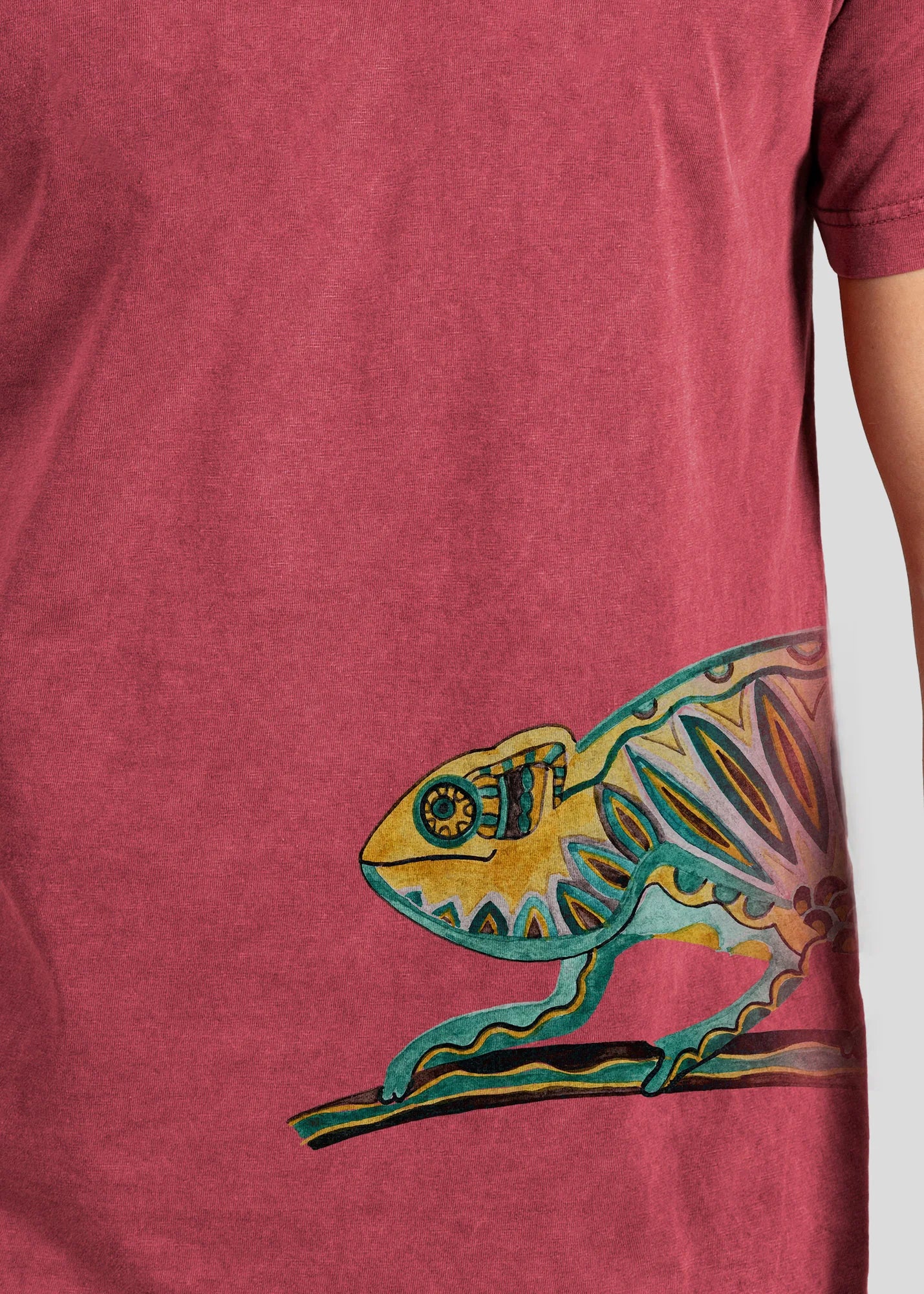 Chameleon - Stonewashed T-Shirts
