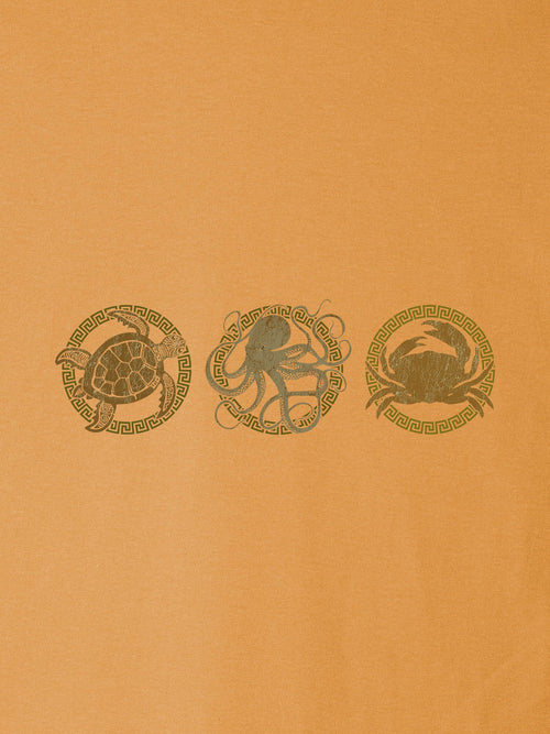 Αφηρημένο Πάνελ με Θαλάσσια Χελώνα - Μπλούζες