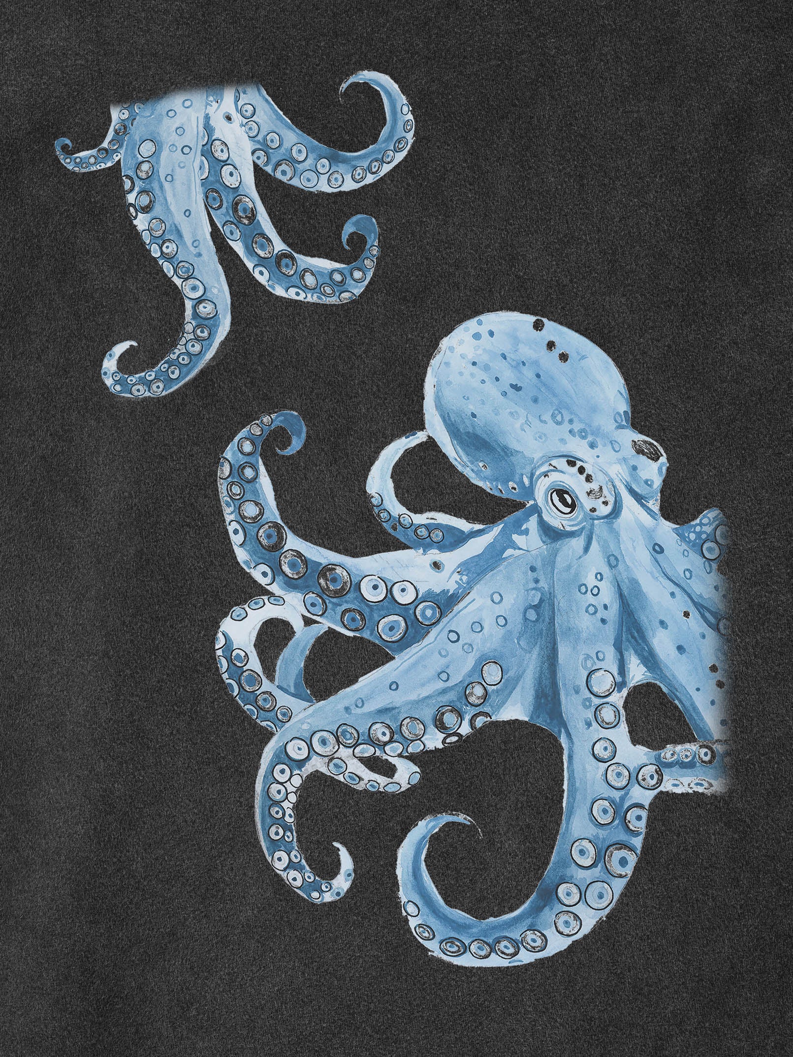 Σχέδιο Χταπόδι Sketch / Υδατογραφία - Μπλούζες Πετροπλυμένες