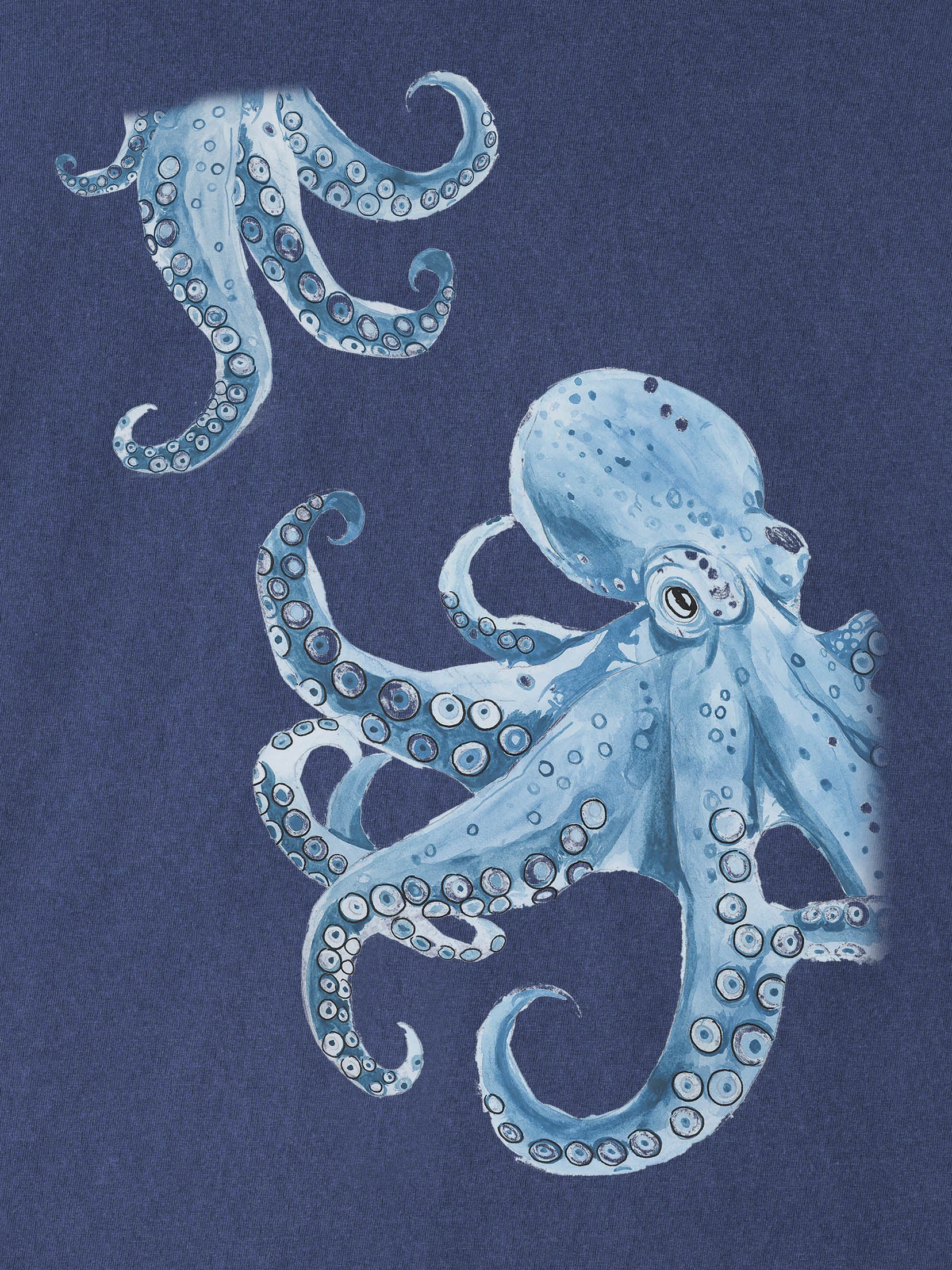 Σχέδιο Χταπόδι Sketch / Υδατογραφία - Μπλούζες Πετροπλυμένες
