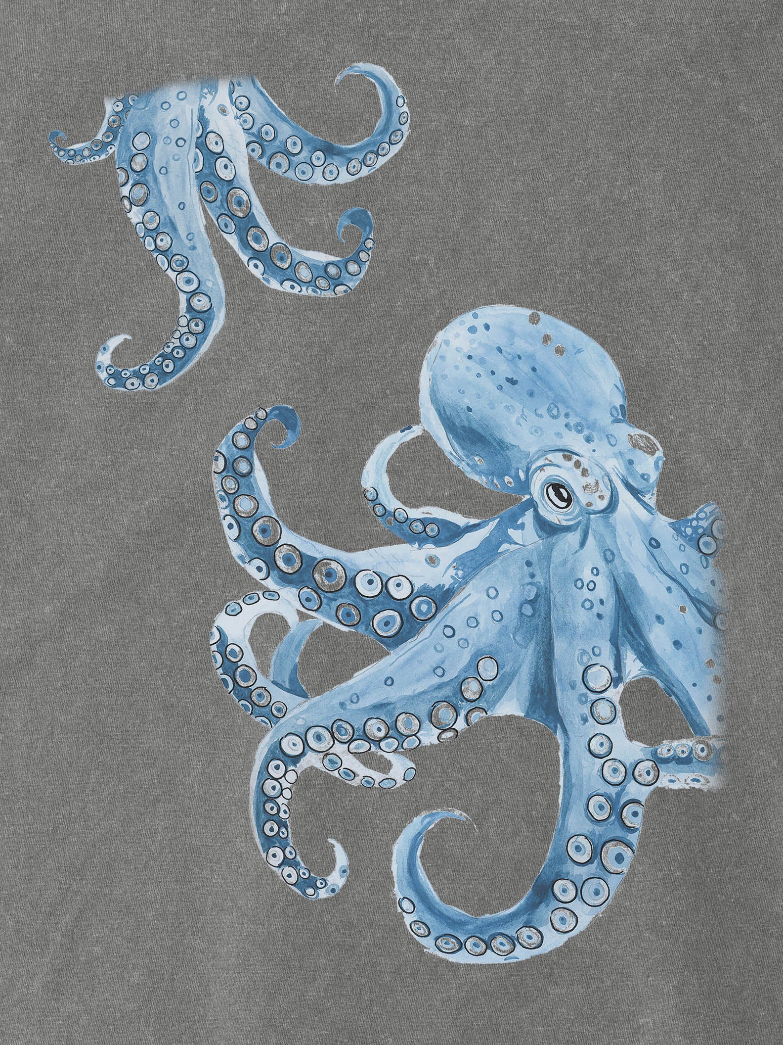 Σχέδιο Χταπόδι Sketch / Υδατογραφία - Μπλούζες Πετροπλυμένες