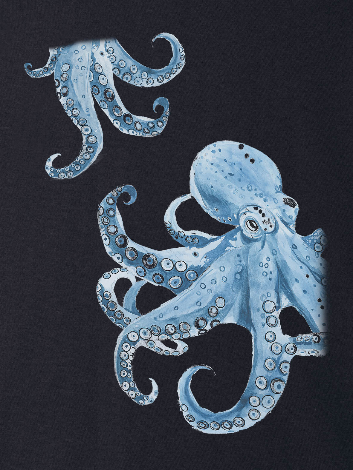 Σχέδιο Χταπόδι Sketch / Υδατογραφία - Μπλούζες