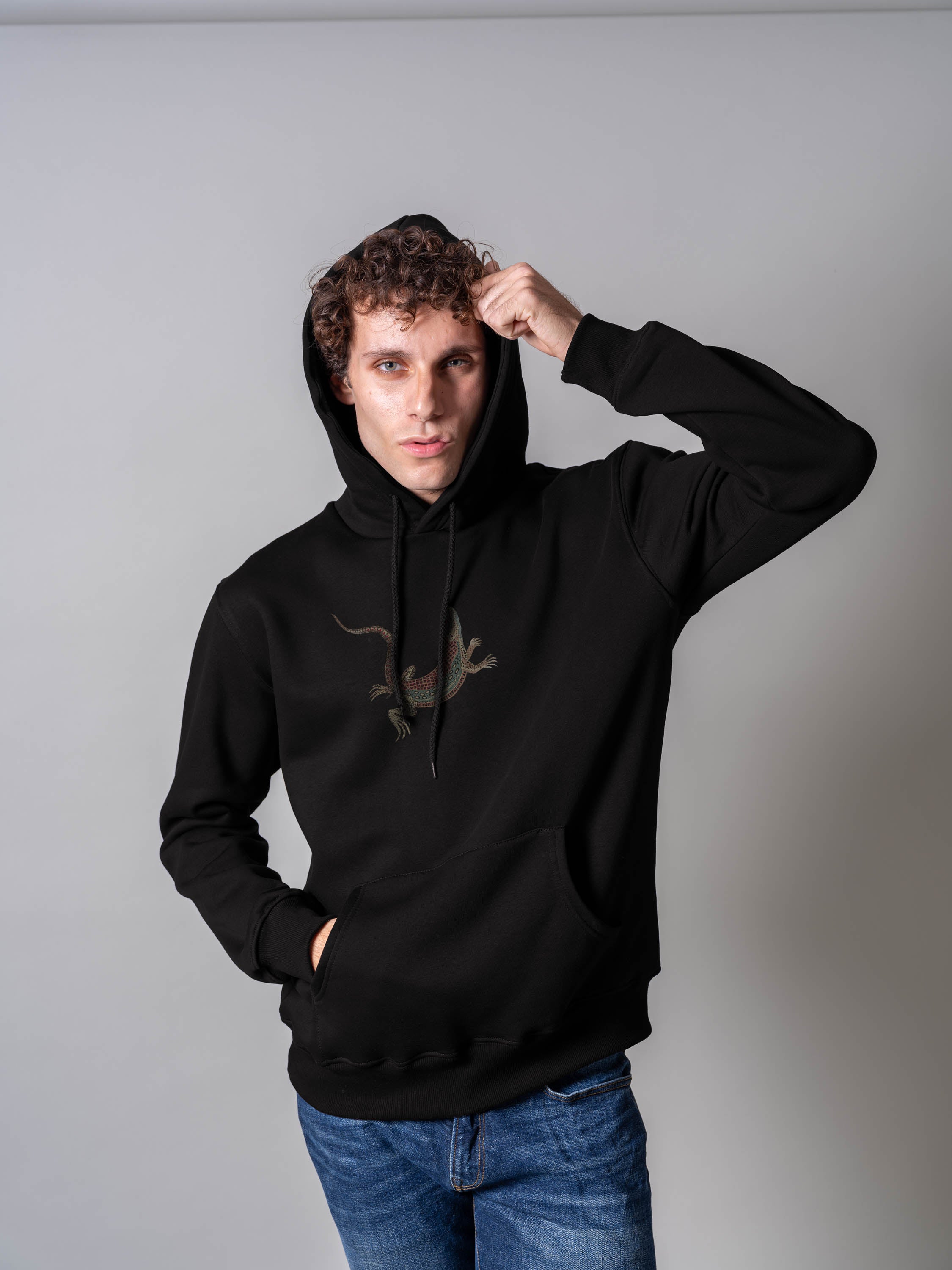 Reptile in harmony - Hoodies