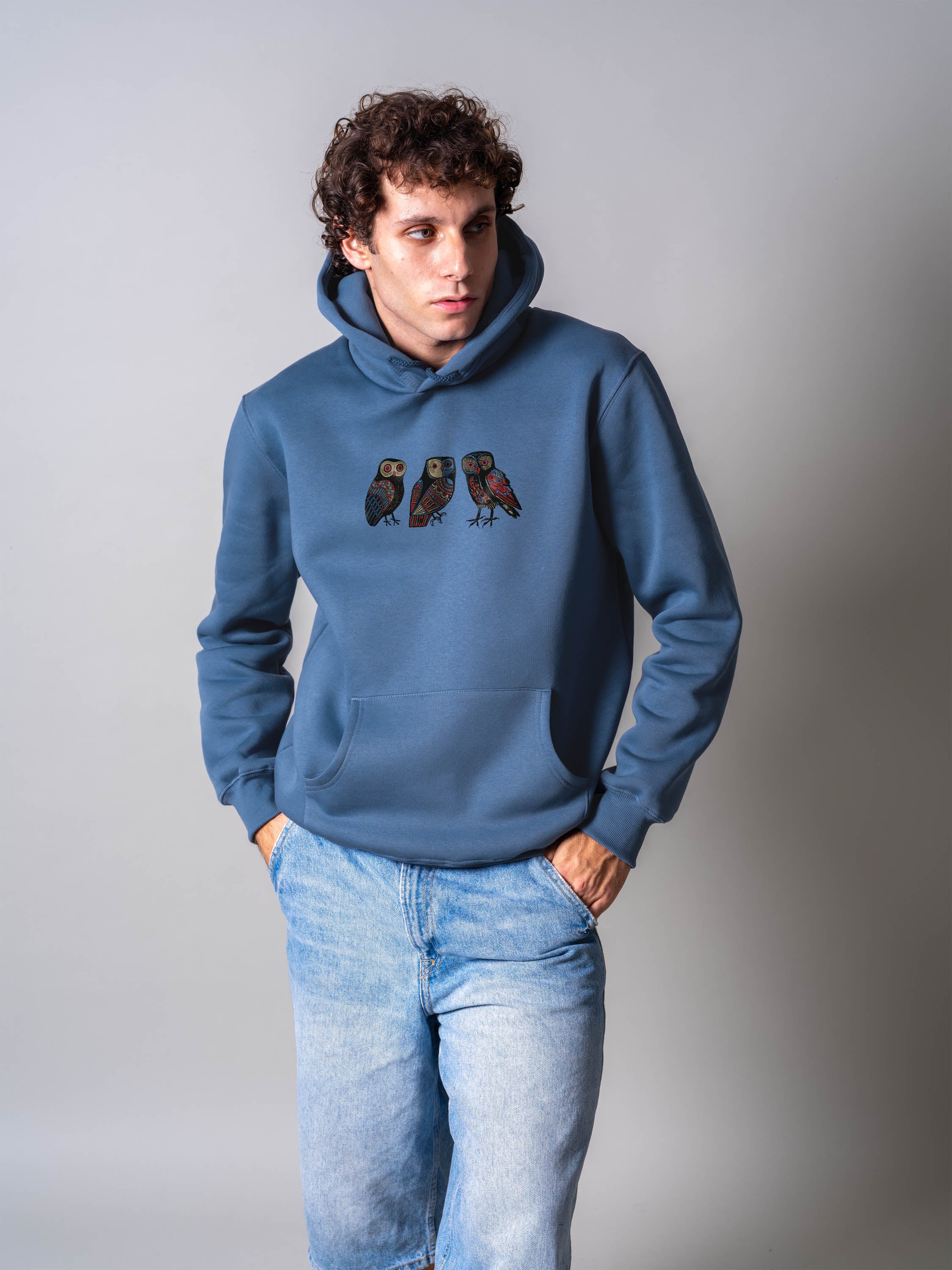 Ethnic Owls - Hoodies