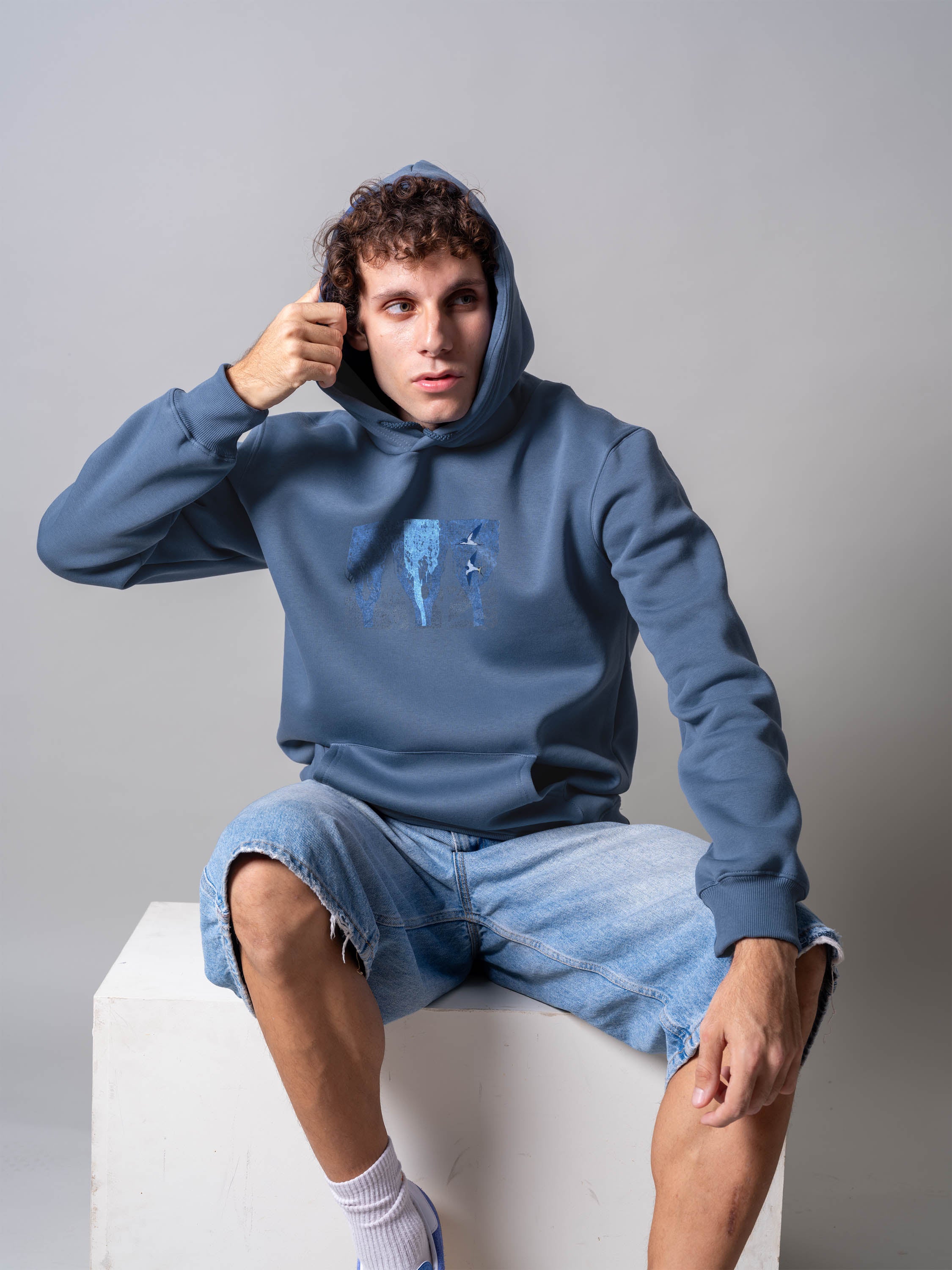 Birds Denim - Hoodies