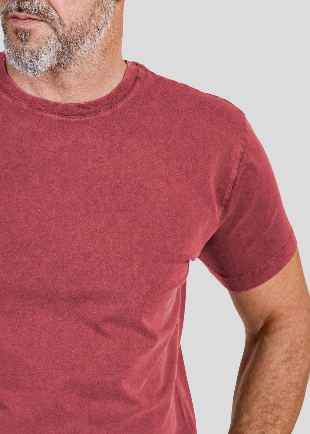Vintage Lizards - Stonewashed T-Shirts