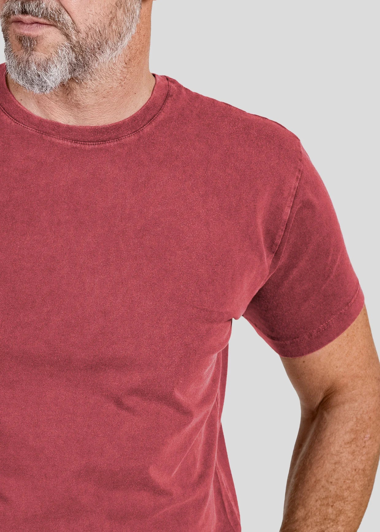 Vintage Lizards - Stonewashed T-Shirts