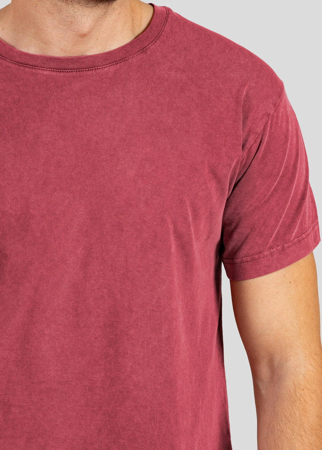 Vintage Lizards - Stonewashed T-Shirts