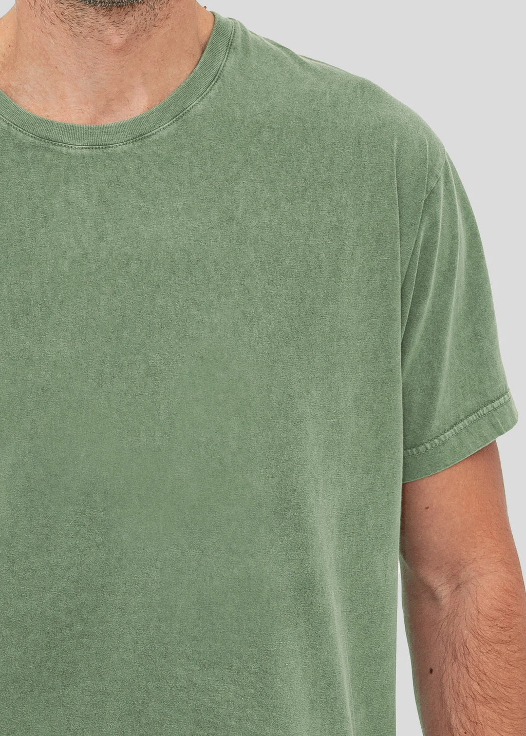 Vintage Lizards - Stonewashed T-Shirts