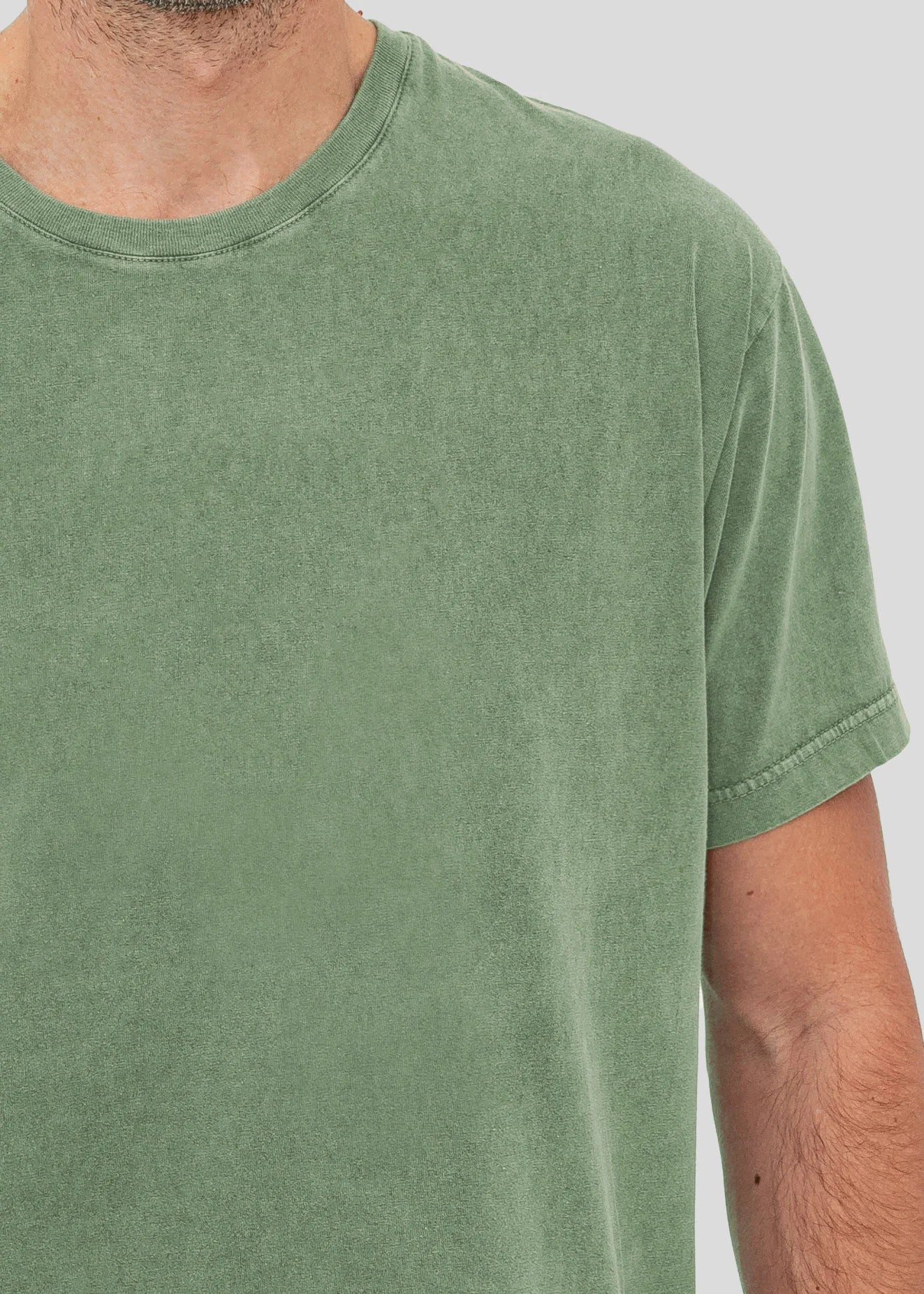 Vintage Lizards - Stonewashed T-Shirts