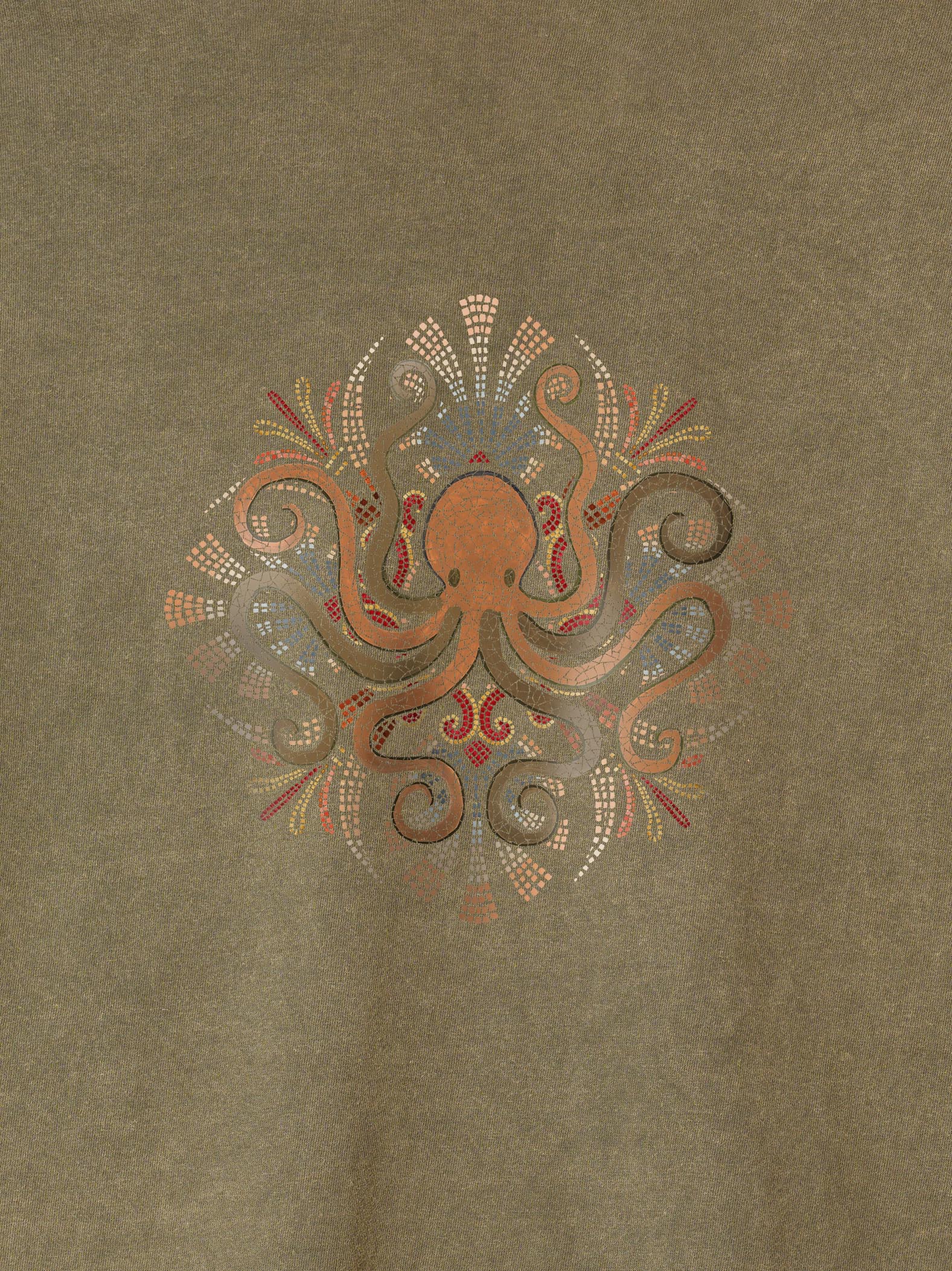 Minoan Octopus - Stonewashed T-Shirts