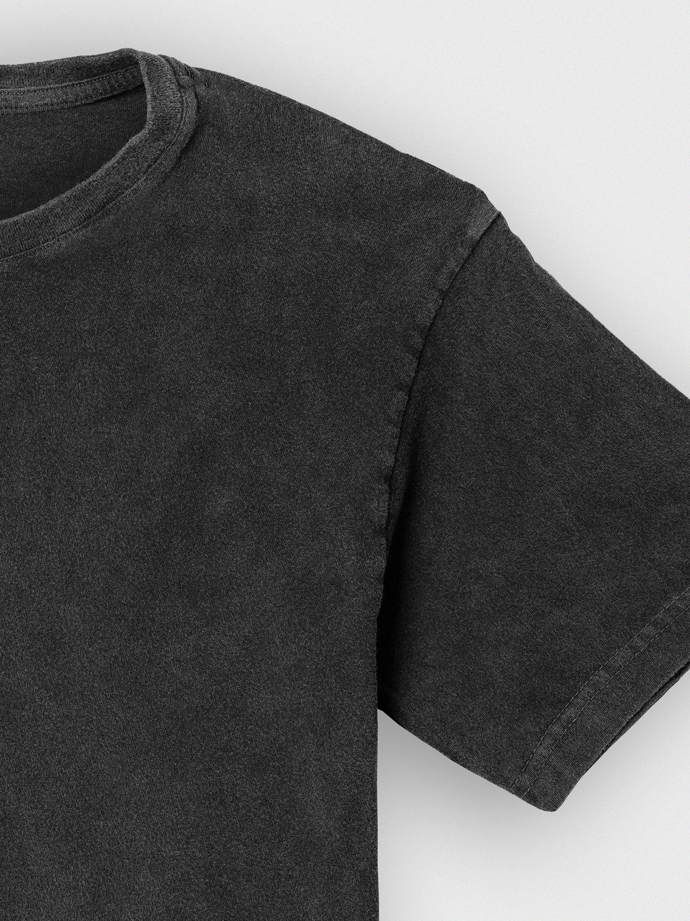 Sea Turtles - Stonewashed T-Shirts