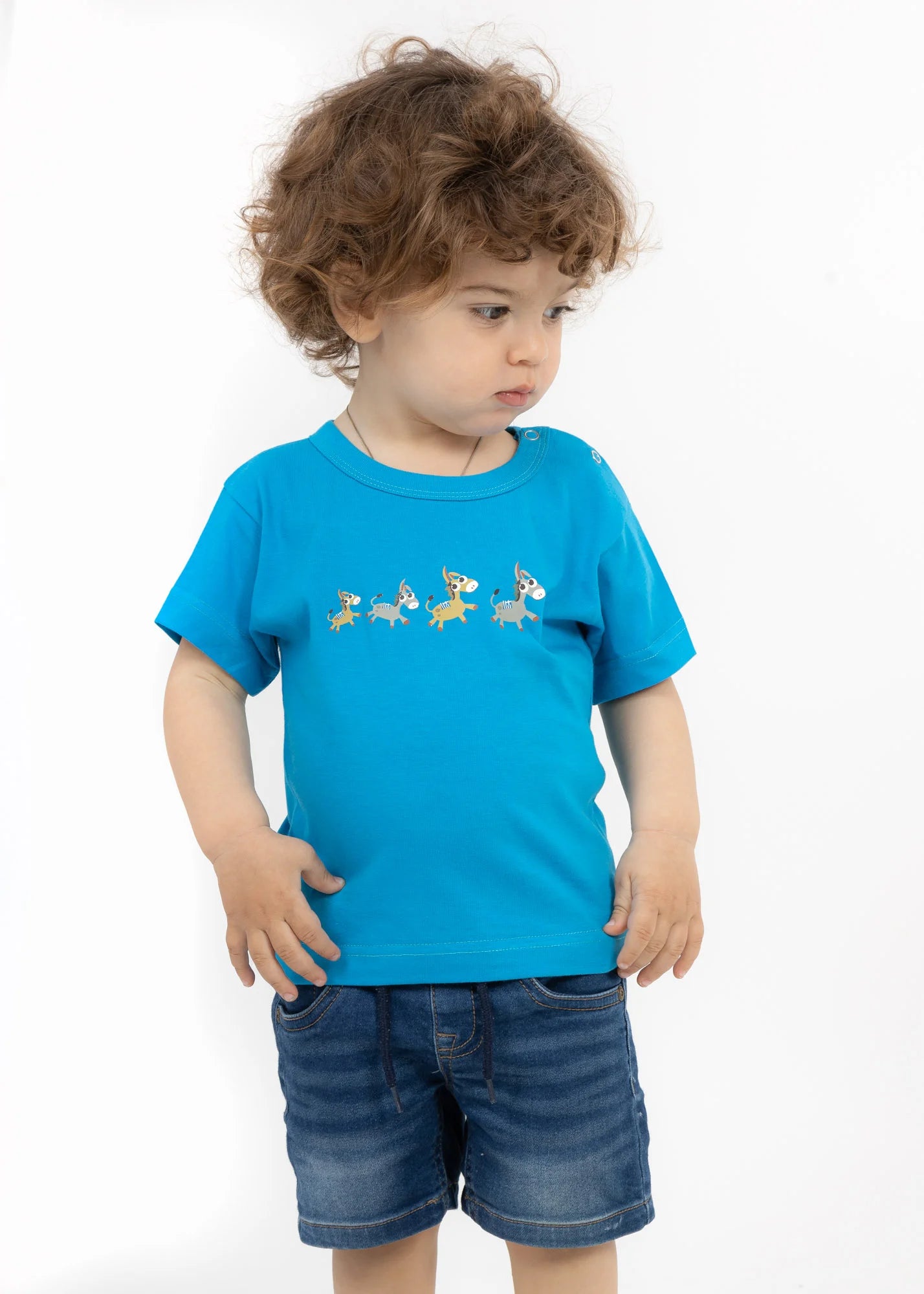Donkeys  - T-Shirts