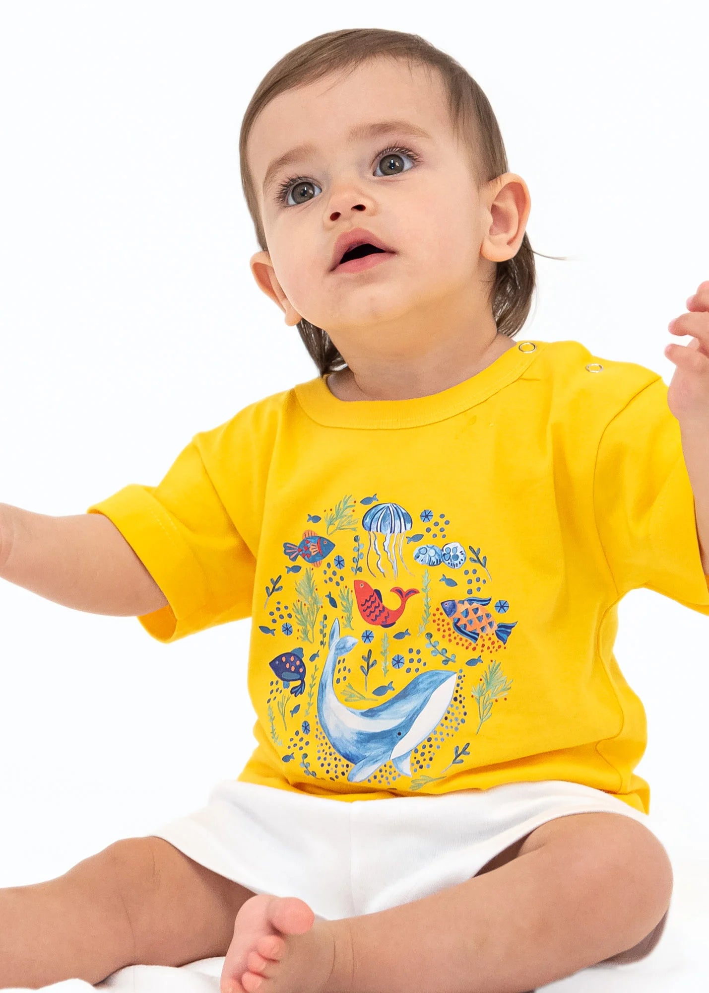 Ocean Life - T-Shirts