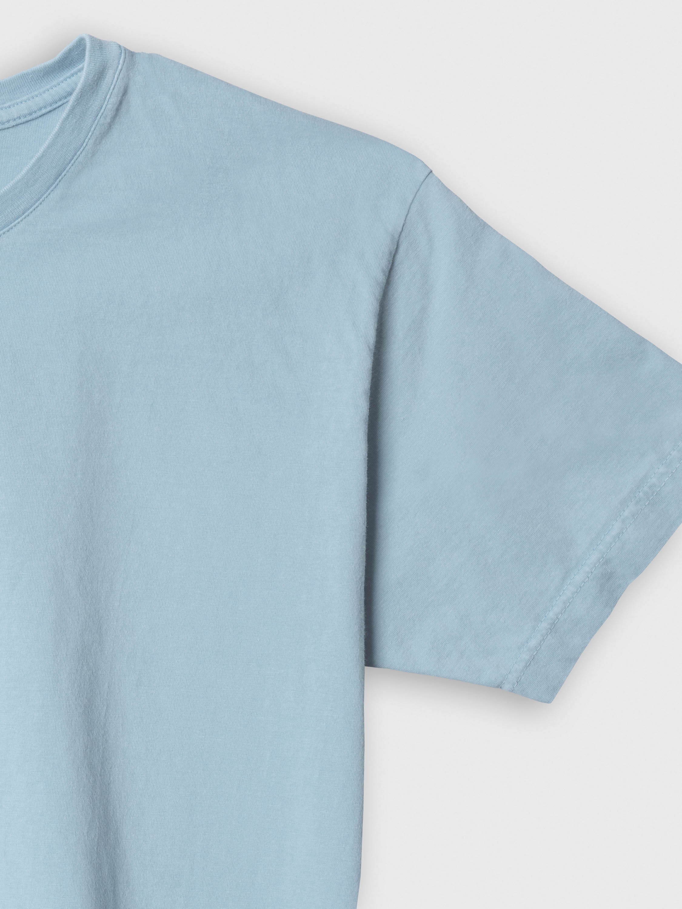 Fishbone Vibes - Stonewashed T-Shirts